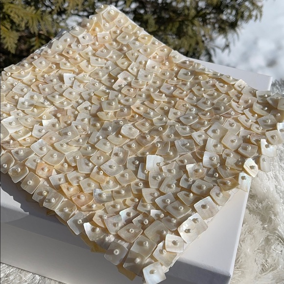 Zara Mother of Pearl Beaded Bag - Picture 5 of 9